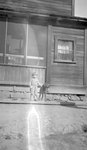 Child, Dog, House by John Allen Nicholson and Wesley C. Engstrom