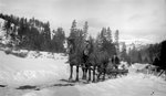 Two Horses, Sled, Man by John Allen Nicholson and Wesley C. Engstrom