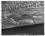 Logs and Debris in Reservoir