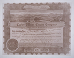 Stock certificate for Crow Water Engine Co.